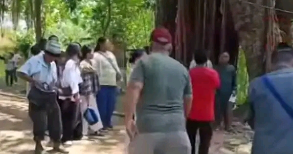 1780811830716